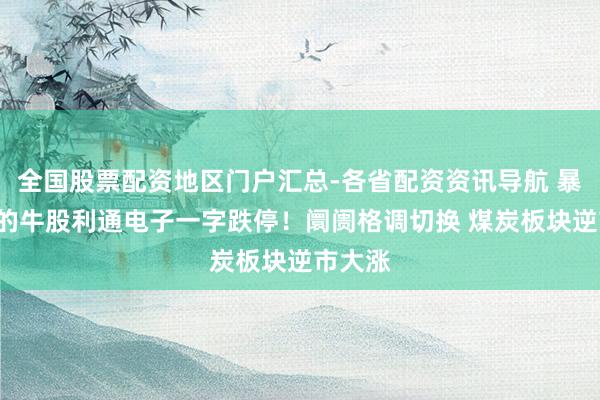 全国股票配资地区门户汇总-各省配资资讯导航 暴涨8倍的牛股利通电子一字跌停！阛阓格调切换 煤炭板块逆市大涨